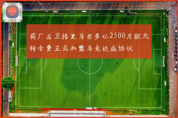 药厂后卫格里马尔多以2500万欧元转会费正式加盟马竞达成协议