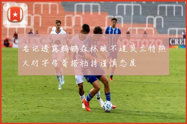 名记透露鹈鹕森林狼不追莫兰特热火对字母哥搭档持谨慎态度